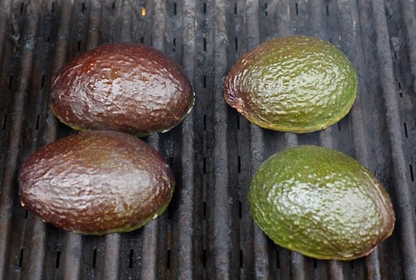 grilled-avocados