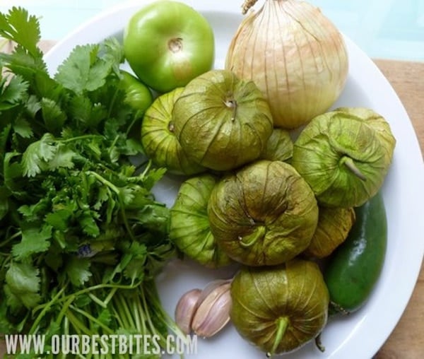 salsa ingredients ingredients for tomatillo sauce