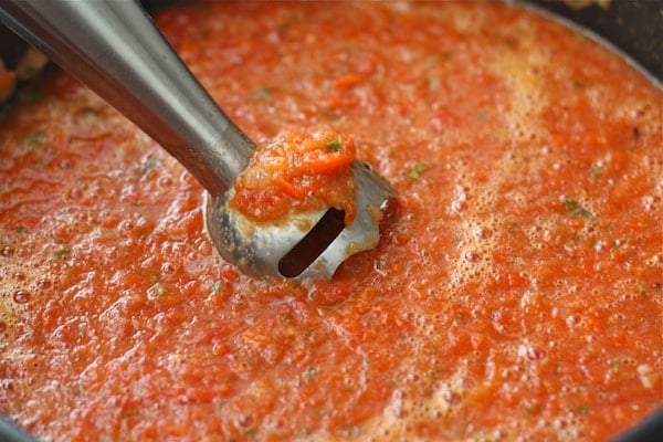 immersion blender tomato soup