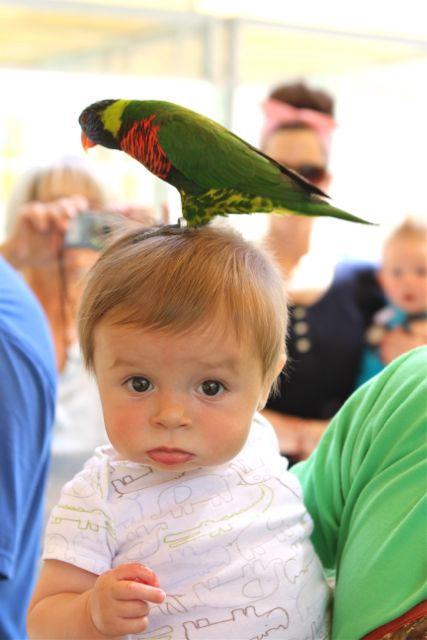 caleb-bird