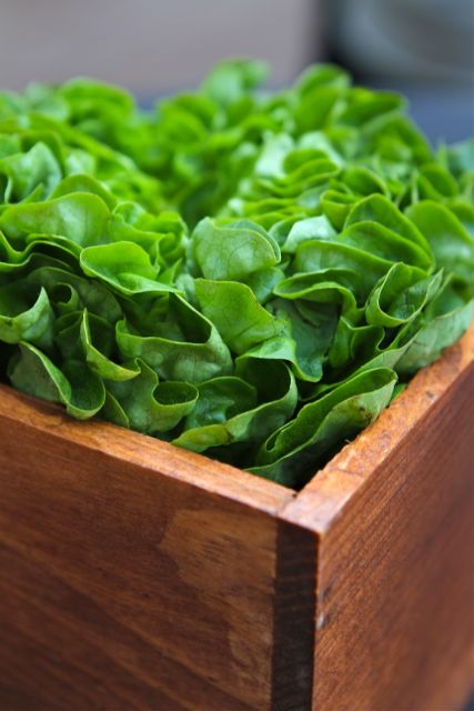 salad-centerpiece