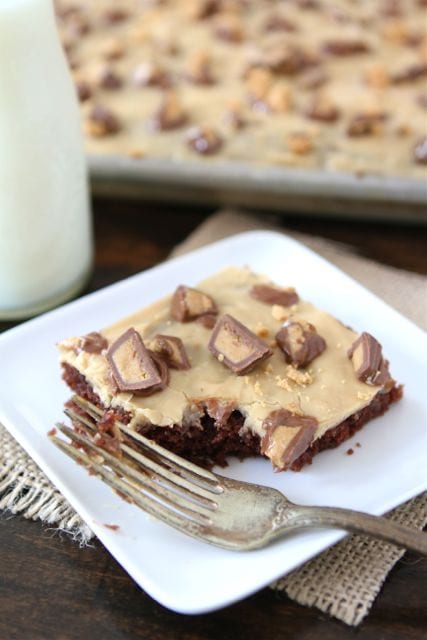 Chocolate Sheet Cake with Peanut Butter Frosting (Two Peas and Their Pod)