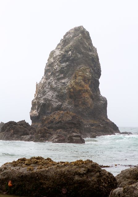 Cannon-Beach4