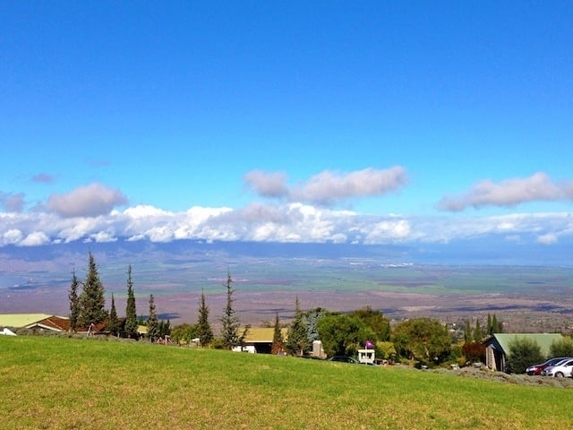 AKL Lavender Farm, Maui | www.twopeasandtheirpod.com akl-lavender-farm4