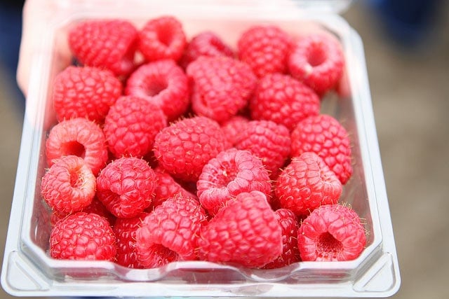 Driscoll's Raspberries on www.twopeasandtheirpod.com Driscoll's-Event-13