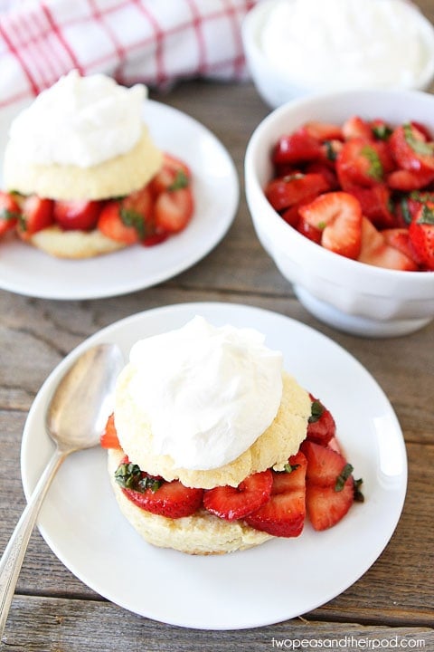 Balsamic Strawberry Basil Ricotta Shortcakes on twopeasandtheirpod.com Balsamic Strawberry Basil Ricotta Shortcakes on twopeasandtheirpod.com