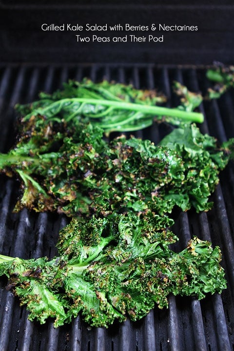 Grilled Kale Salad with Berries & Nectarines Recipe on twopeasandtheirpod.com Grilled kale is amazing! Grilled Kale Salad with Berries & Nectarines Recipe on twopeasandtheirpod.com Grilled kale is amazing!