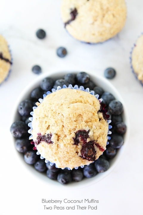 Simple Blueberry Coconut Muffin Recipe | twopeasandtheirpod.com | Two Peas and Their Pod Simple Blueberry Coconut Muffin Recipe | twopeasandtheirpod.com | Two Peas and Their Pod