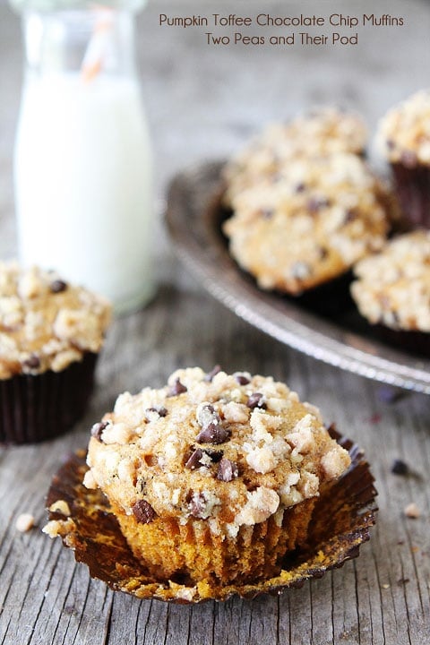 Pumpkin Toffee Chocolate Chip Muffins Recipe on twopeasandtheirpod.com All of my favorites in one muffin! Pumpkin Toffee Chocolate Chip Muffins Recipe on twopeasandtheirpod.com All of my favorites in one muffin!