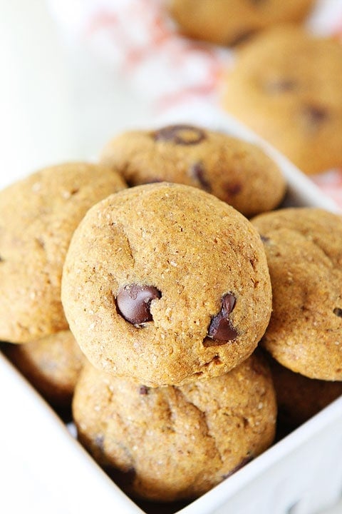 Healthy Pumpkin Chocolate Chip Cookie Recipe on twopeasandtheirpod.com #recipe Healthy Pumpkin Chocolate Chip Cookie Recipe on twopeasandtheirpod.com #recipe