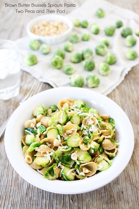 Brown Butter Brussels Sprouts Pasta with Hazelnuts Recipe on twopeasandtheirpod.com This pasta dish is SO good! Brown Butter Brussels Sprouts Pasta with Hazelnuts Recipe on twopeasandtheirpod.com This pasta dish is SO good!