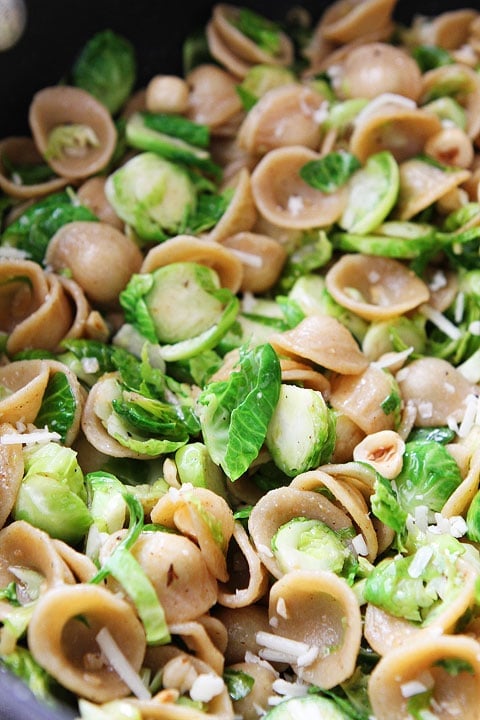 Brown Butter Brussels Sprouts Pasta with Hazelnuts Recipe on twopeasandtheirpod.com #recipe Brown Butter Brussels Sprouts Pasta with Hazelnuts Recipe on twopeasandtheirpod.com #recipe