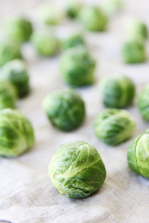 Cranberry Orange Roasted Brussels Sprouts Recipe on twopeasandtheirpod.com Cranberry Orange Roasted Brussels Sprouts Recipe on twopeasandtheirpod.com