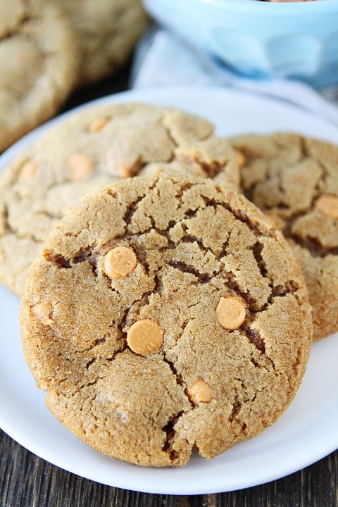 Brown Sugar Butterscotch Cookie Recipe | Two Peas and Their Pod Brown Sugar Butterscotch Cookie Recipe on twopeasandtheirpod.com You HAVE to make these!