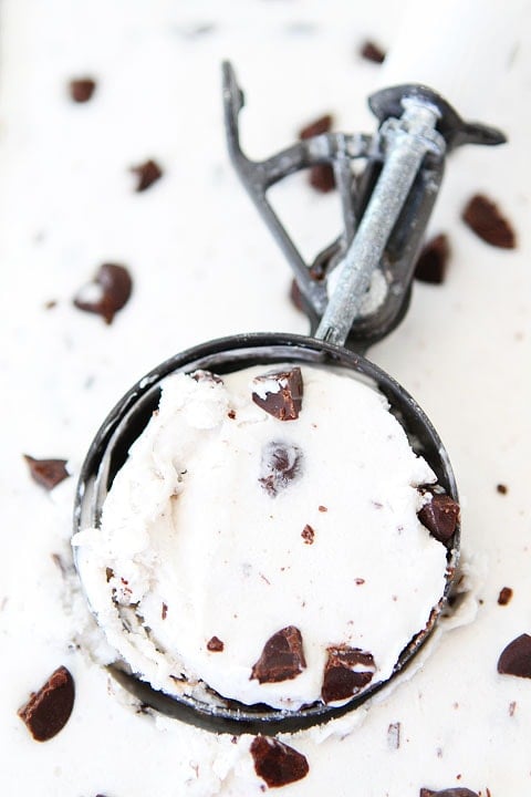 Vegan Coconut Chocolate Chunk Ice Cream Recipe Vegan Coconut Chocolate Chunk Ice Cream Recipe on twopeasandtheirpod.com You only need 5 ingredients to make this ice cream!