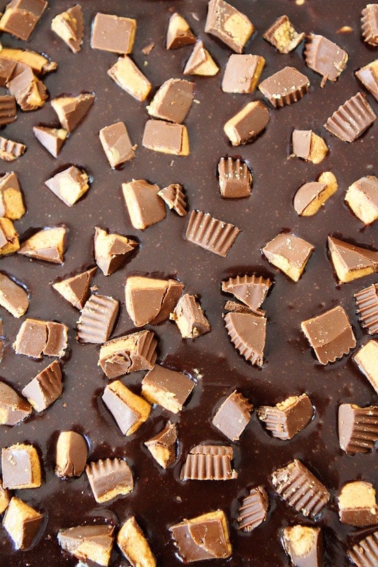 Chocolate Peanut Butter Brownie Recipe on twopeasandtheirpod.com The BEST brownies you will ever eat! Peanut butter cups sprinkled in chocolate for peanut butter brownies
