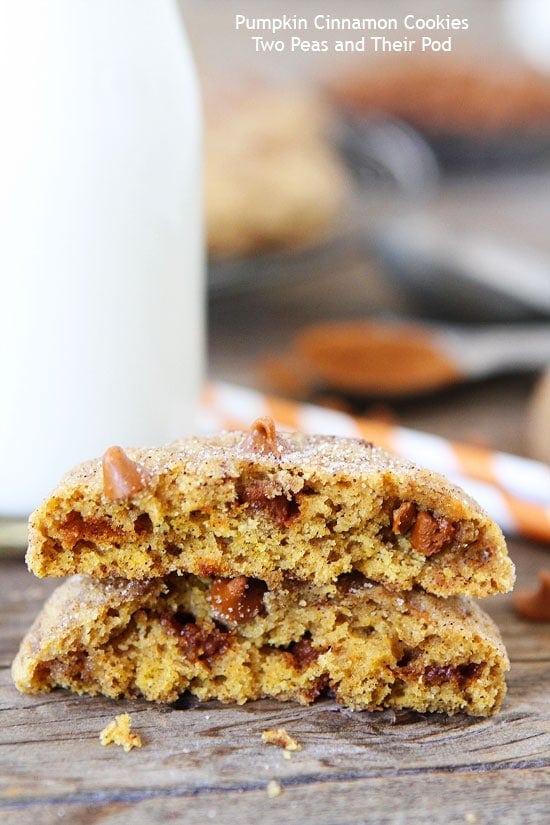 Pumpkin Cinnamon Cookies are the perfect fall cookie. Everyone loves these easy pumpkin cookies!