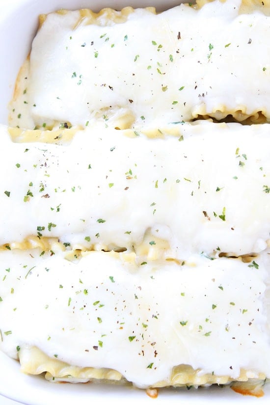 Pesto Lasagna Roll Ups Recipe on twopeasandtheirpod.com You will love this fun and easy twist on traditional lasagna! Plus, it freezes well too! Pesto Lasagna Roll Ups Recipe