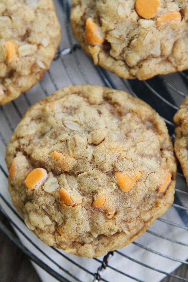 Brown Butter Butterscotch Oatmeal Cookies Recipe on twopeasandtheirpod.com Soft and chewy oatmeal cookies made with brown butter and butterscotch chips! These are the BEST oatmeal cookies I have ever tasted! You have to make them! Brown Butter Butterscotch Oatmeal Cookies Recipe