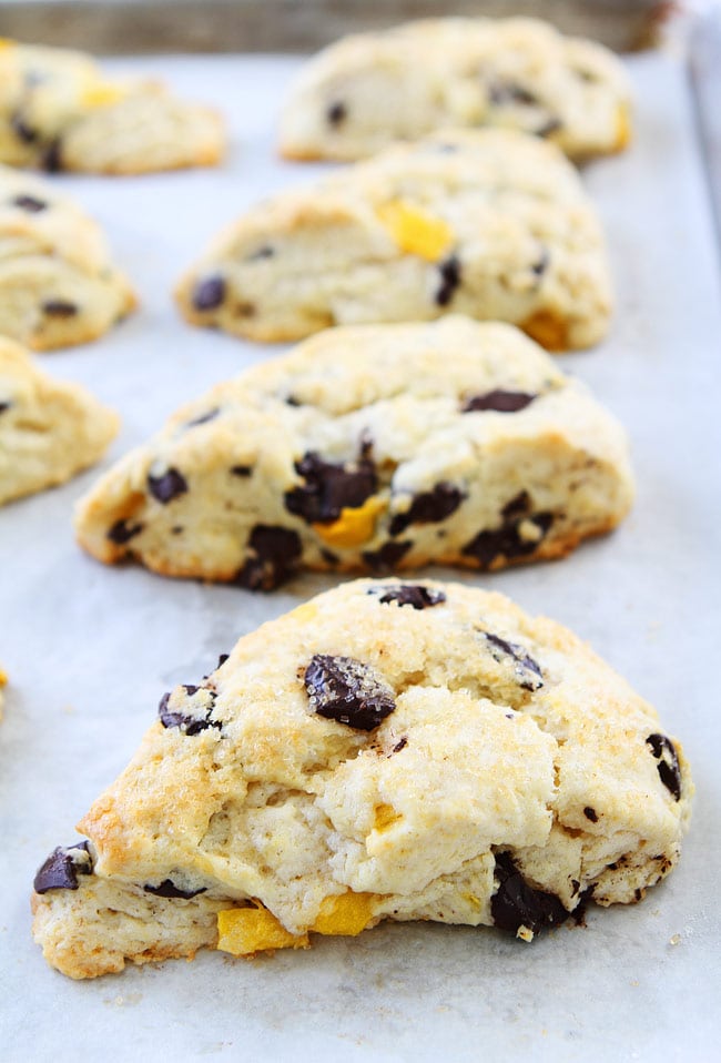Mango Dark Chocolate Chunk Scones Recipe on twopeasandtheirpod.com Soft, tender, buttery scones with juicy mango pieces and dark chocolate chunks! These scones are amazing! Mango Dark Chocolate Chunk Scones Recipe