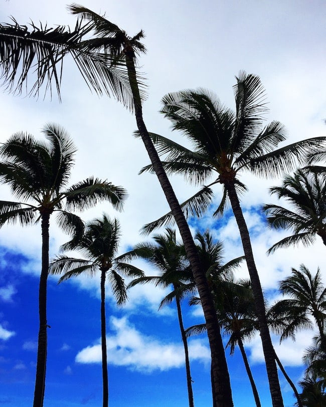 Maui Family Vacation