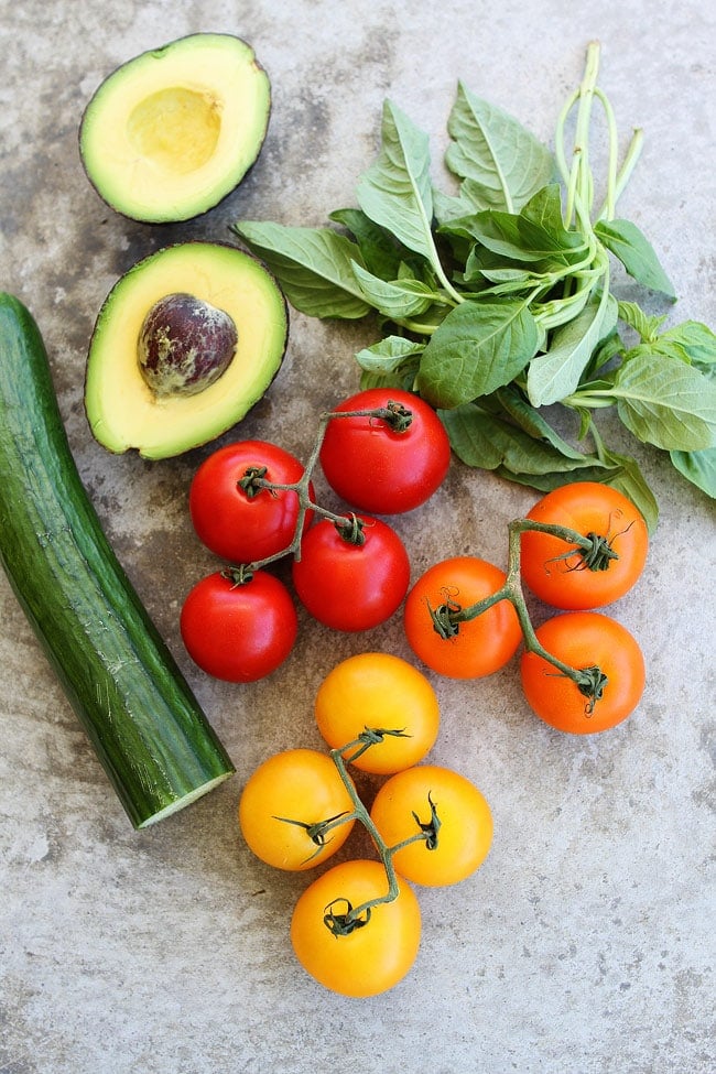 The Best Fresh Tomato Recipes! You will want to make them all! #tomato #tomatorecipes #tomatoes #summer #cooking #recipes #gardening Best tomato recipes