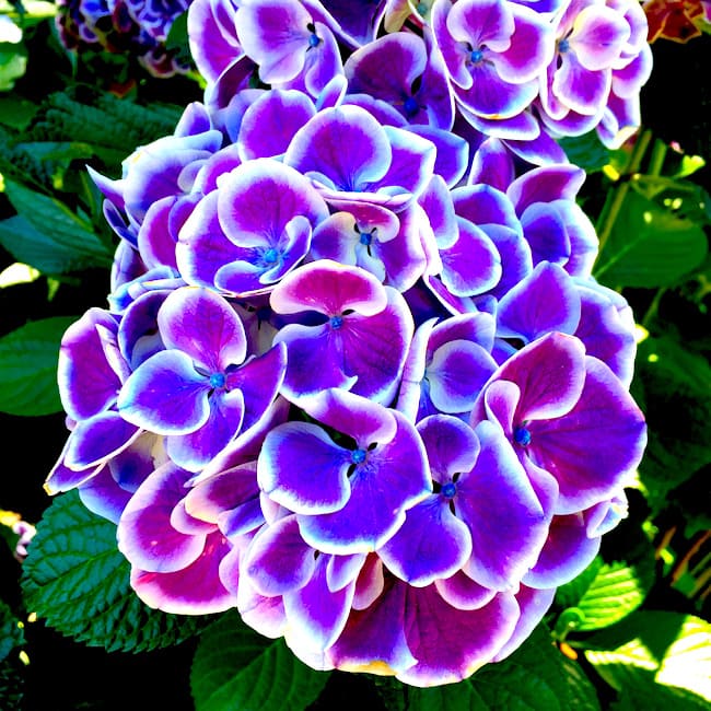 Cannon Beach, Oregon on twopeasandtheirpod.com Cannon Beach, Oregon