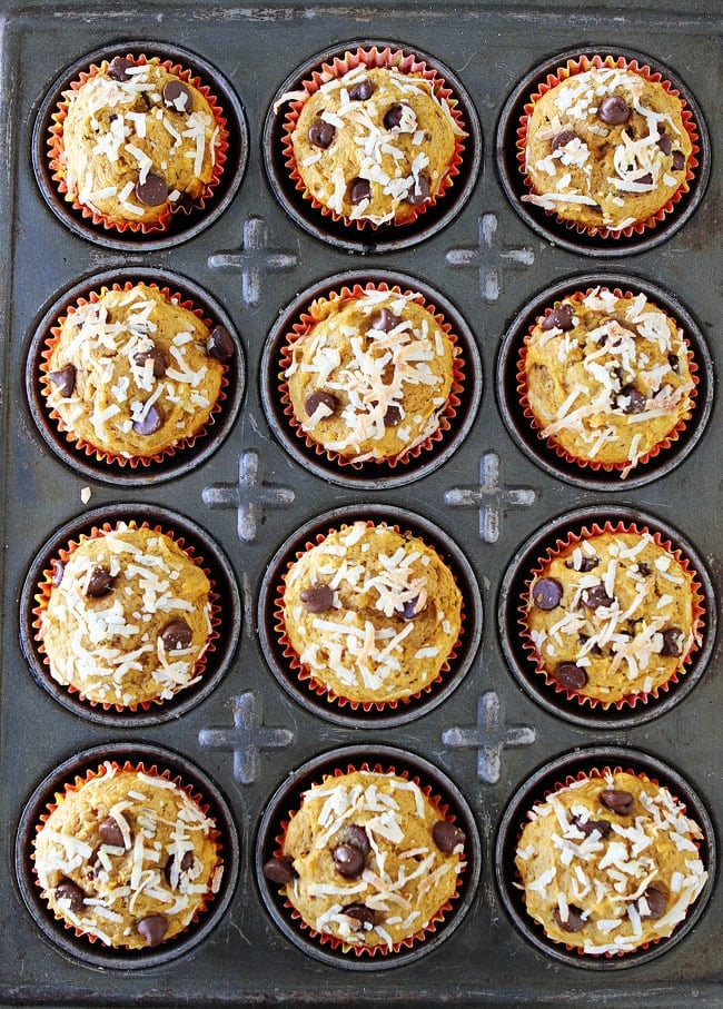 Pumpkin Coconut Chocolate Chip Muffins Recipe on twopeasandtheirpod.com Moist pumpkin muffins with coconut and chocolate chips. These easy pumpkin muffins are a fall favorite. Pumpkin Coconut Chocolate Chip Muffins Recipe