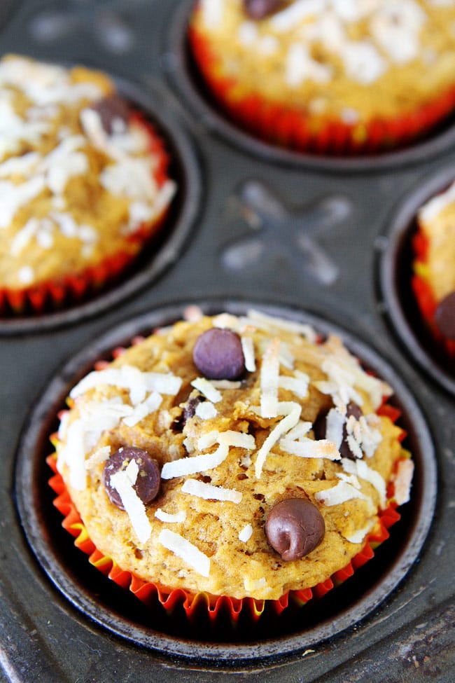 Pumpkin Coconut Chocolate Chip Muffins Recipe on twopeasandtheirpod.com Moist pumpkin muffins with coconut and chocolate chips. These easy pumpkin muffins are a must make for fall. Pumpkin Coconut Chocolate Chip Muffins Recipe