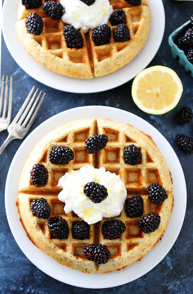 Easy Lemon Poppy Seed Waffles with lemon whipped cream and fresh blackberries make a wonderful breakfast or brunch.