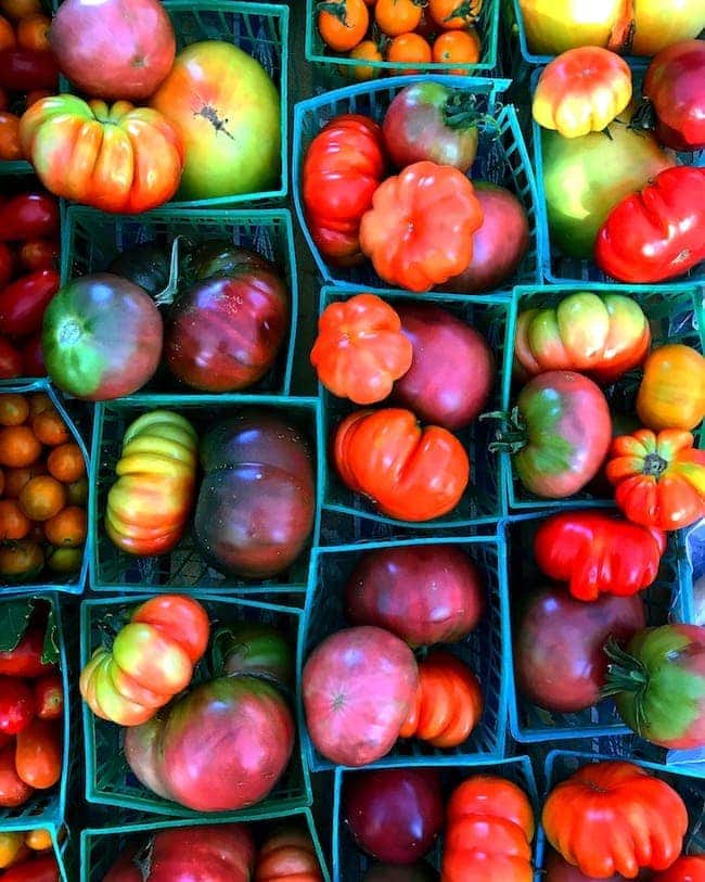 The Best Fresh Tomato Recipes! You will want to make them all! #tomato #tomatorecipes #tomatoes #summer #cooking #recipes #gardening Best Tomato Recipes for End of Summer Tomatoes