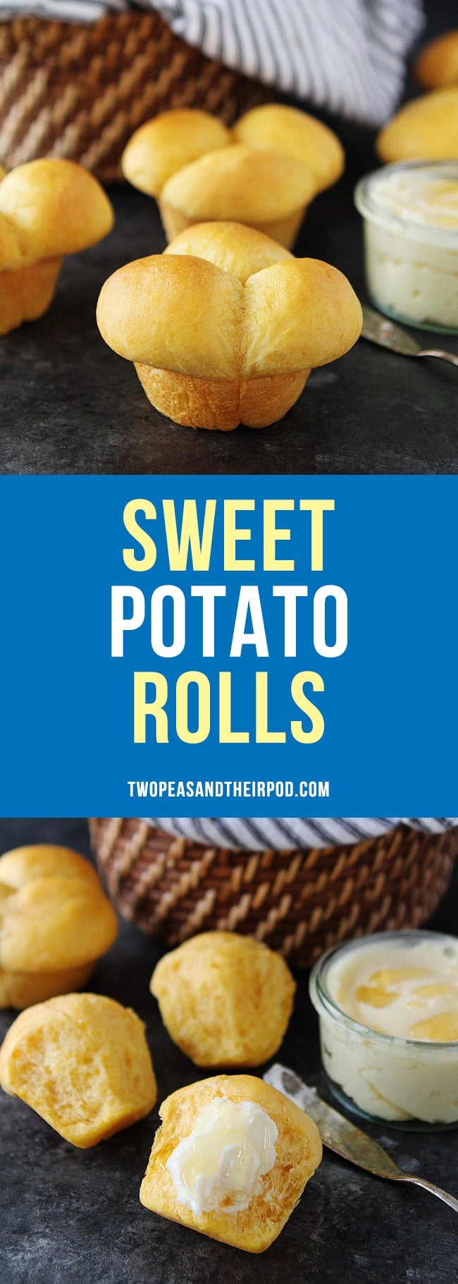 Sweet Potato Rolls are the perfect dinner rolls for Thanksgiving or for any meal! #rolls #sweetpotato #Thanksgiving