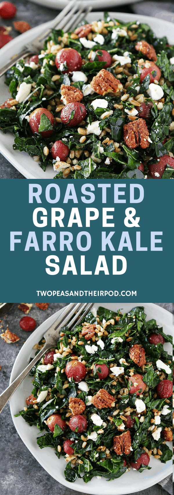 Roasted Grape and Farro Kale Salad with candied pecans, feta cheese, and balsamic dressing is a great salad for lunch or dinner! #salad #vegetarian #farro #kale #kalesalad