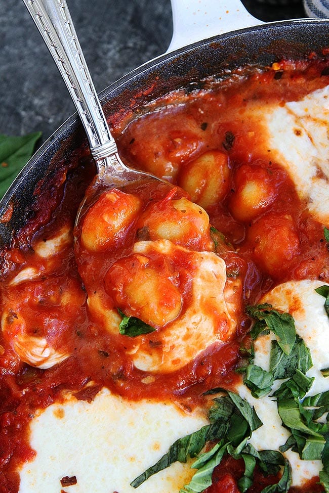 5-Ingredient Skillet Gnocchi-You Only Need 5 Ingredients To Make This Easy And Cheesy Gnocchi Recipe. It Is The Perfect Dinner Recipe For Busy Weeknights! #gnocchi #cheese #dinner #easyrecipe #basil #vegetarian #recipe #easydinner Easy Gnocchi Recipe
