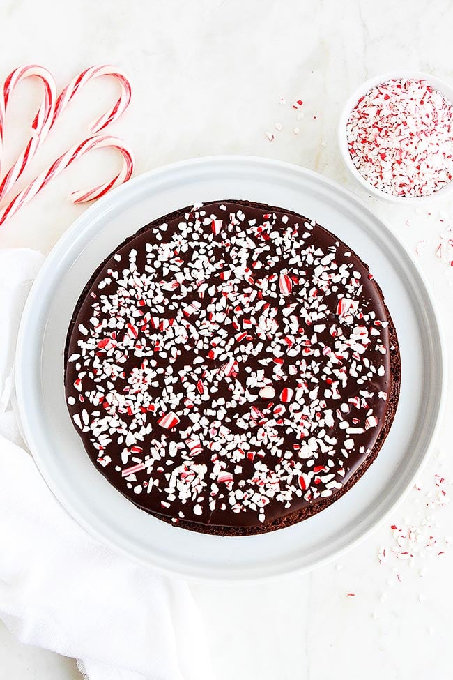 This Decadent Peppermint Flourless Chocolate Cake Is The Perfect Dessert For The Holiday Season. The Crushed Peppermint Candies Are The Perfect Finishing Touch To This Festive Gluten-Free Chocolate Cake. #cake #chocolatecake #glutenfree #dessert #Christmas #holidays #peppermint #mint #baking Peppermint Flourless Chocolate Cake