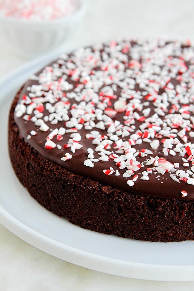 This Decadent Peppermint Flourless Chocolate Cake Is The Perfect Dessert For The Holiday Season. The Crushed Peppermint Candies Are The Perfect Finishing Touch To This Festive Gluten-Free Chocolate Cake. #cake #chocolatecake #glutenfree #dessert #Christmas #holidays #peppermint #mint #baking Peppermint Flourless Chocolate Cake Recipe