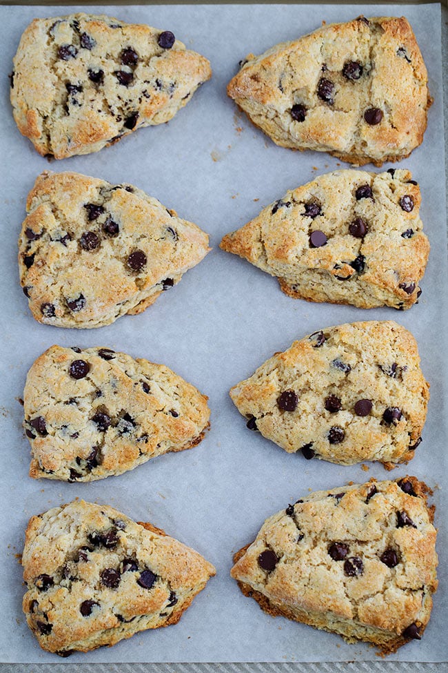 Chocolate Chip Scones-These Soft And Tender Scones Are Dotted With Chocolate Chips And Will Remind You Of A Chocolate Chip Cookie! One Of Our Favorite Treats To Enjoy For Breakfast, Brunch, Or Dessert! #scones #chocolate #chocolatechip #baking #breakfast #sconerecipe #valentinesday How to Make Chocolate Chip Scones