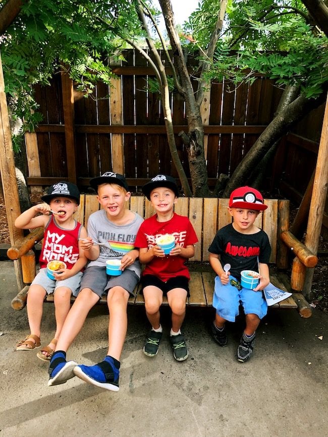 McCall Idaho Ice Cream