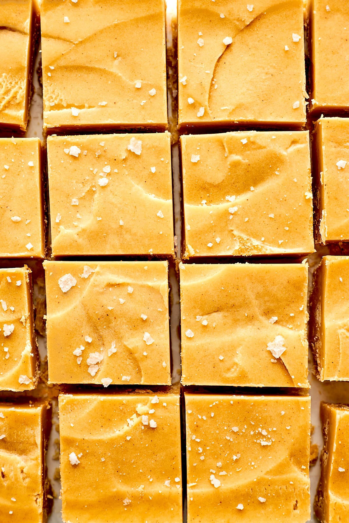 peanut butter fudge cut into squares with flaky sea salt on top.
