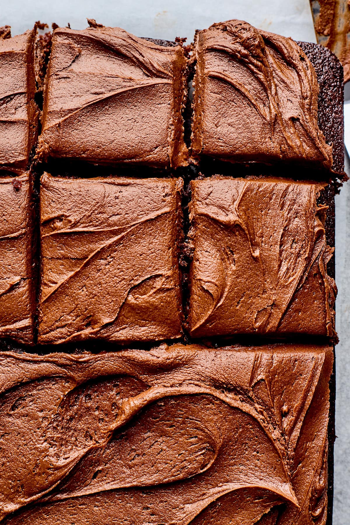 chocolate cake with chocolate frosting cut into squares.