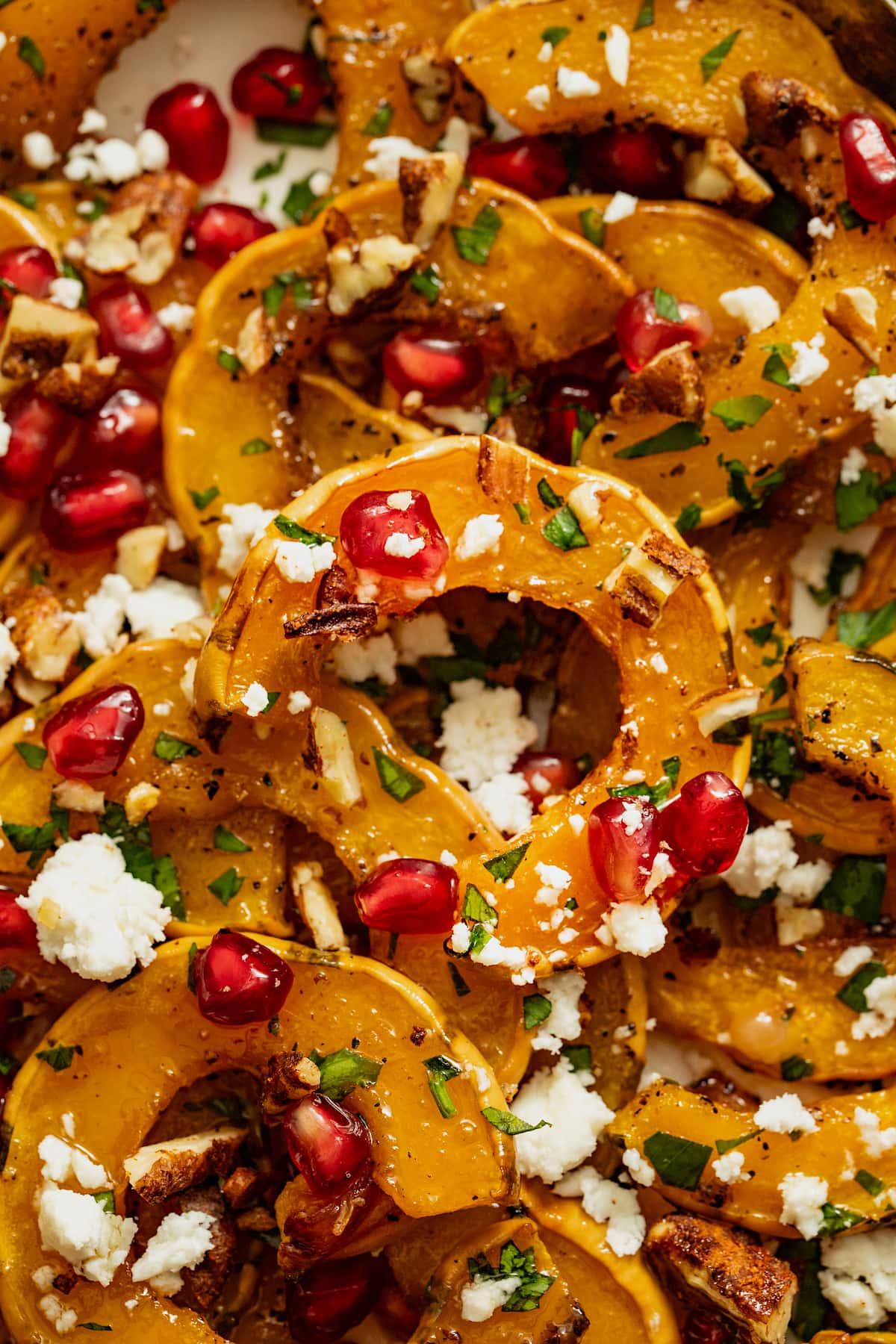 roasted delicata squash with pomegranate, feta, and parsley.
