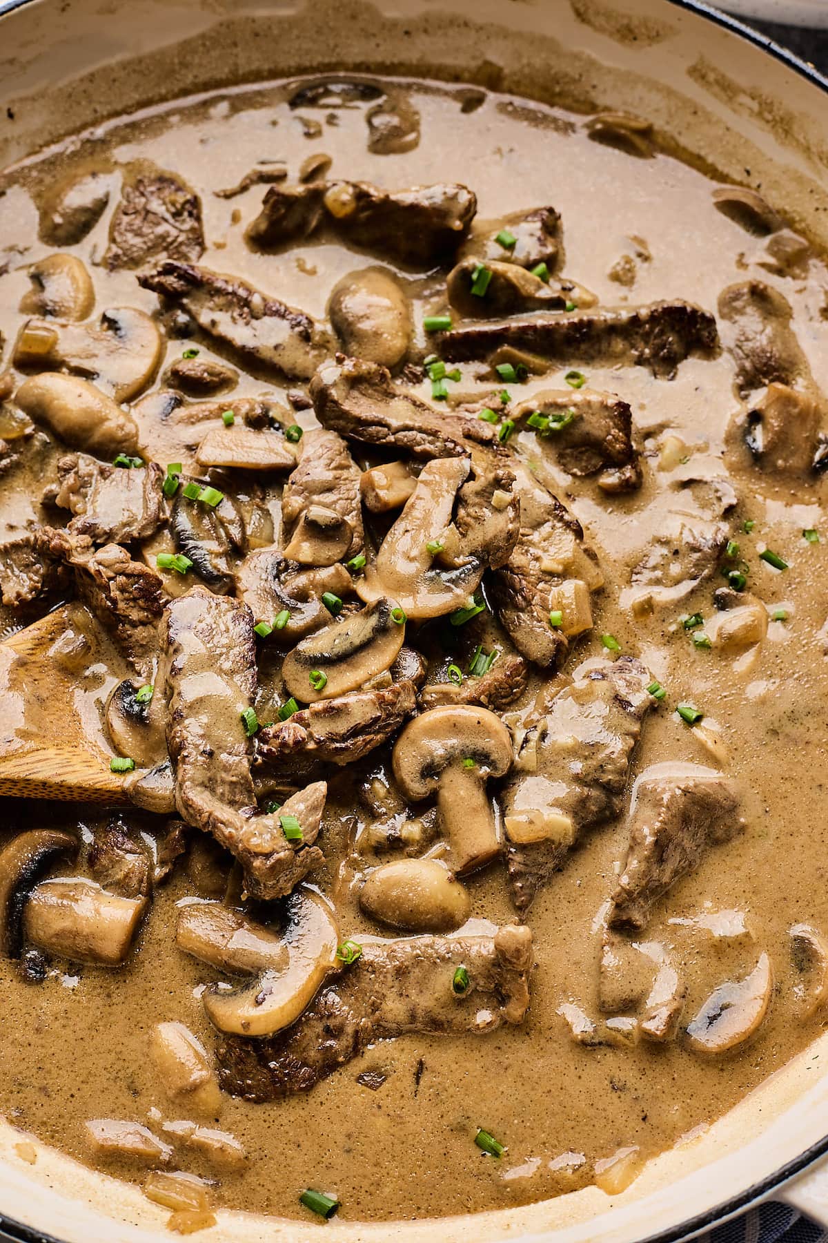 close up of beef stroganoff.